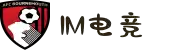 im(股份有限公司)电竞-电子竞技平台